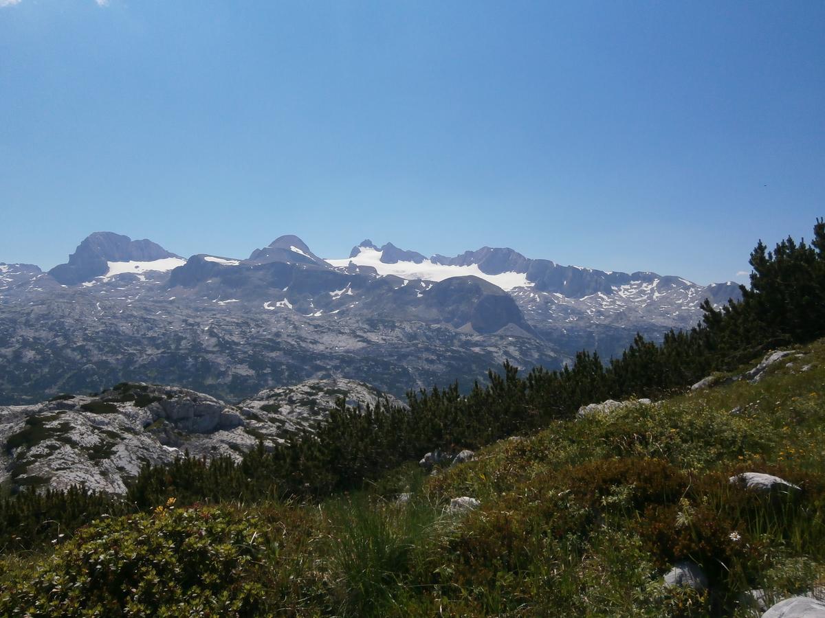 Lodge Am Krippenstein Obertraun Buitenkant foto