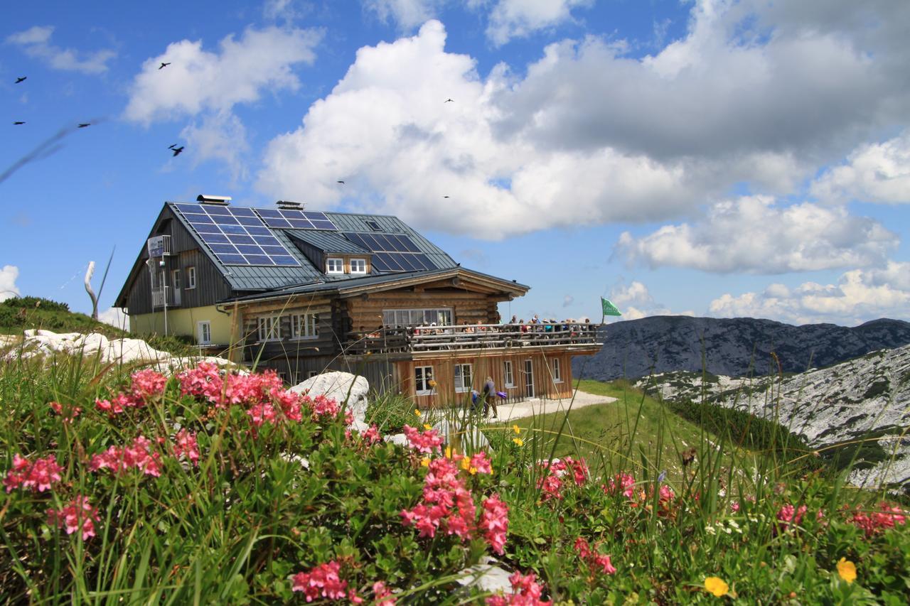 Lodge Am Krippenstein Obertraun Buitenkant foto